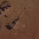 Image for article titled Everything You May Have Missed in the Newest Rogue One Trailer